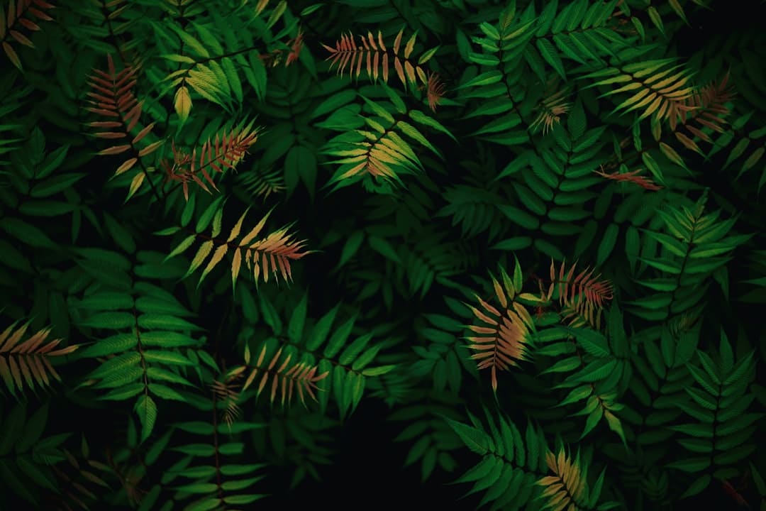 肠粉怎么炒才好吃